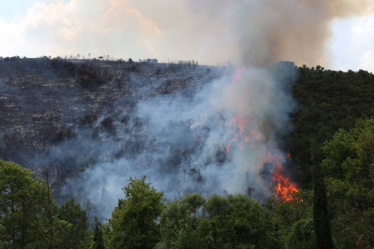Ormanlık alanda çıkan yangına müdahale sürüyor
