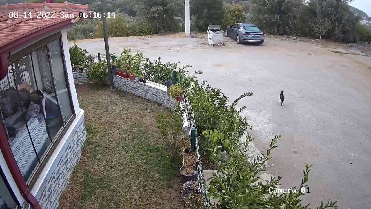 İzmir’deki 5 büyüklüğündeki deprem kamerada