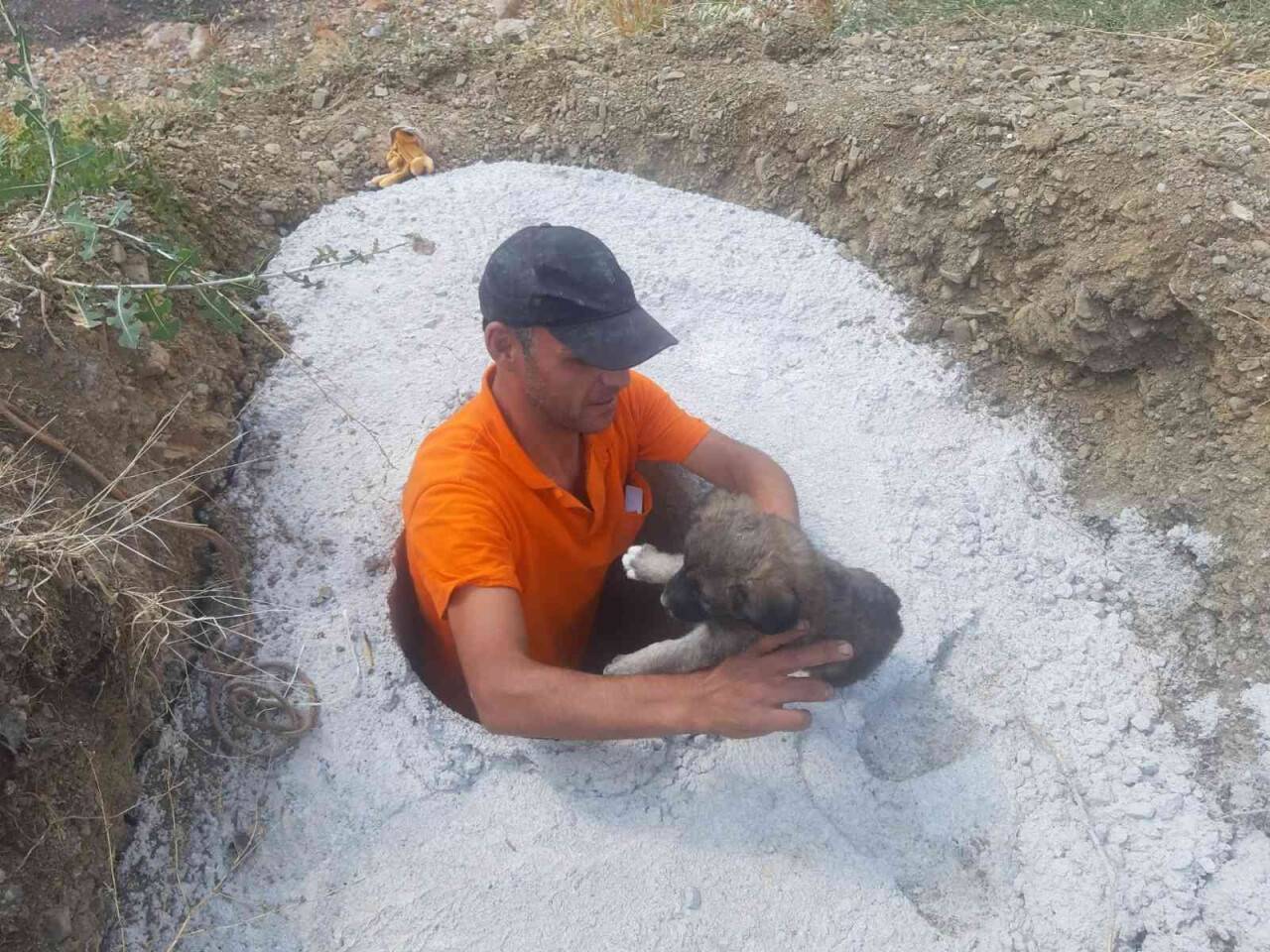 Beton çukura düşen 2 yavru köpek kurtarıldı