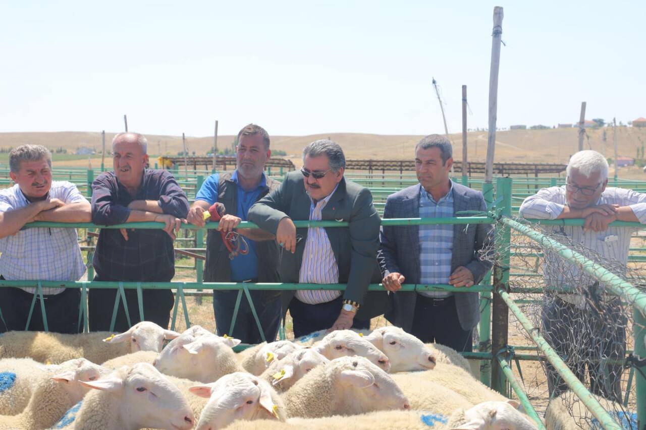 Cihanbeyli Belediyesi’nden hayvancılığa destek