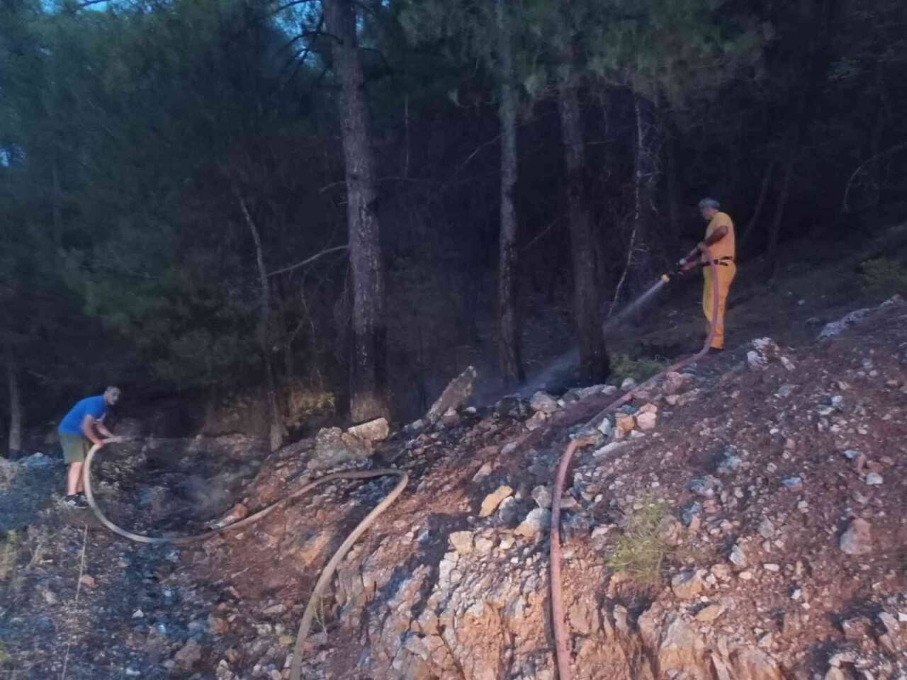 Muğla’da orman yangını