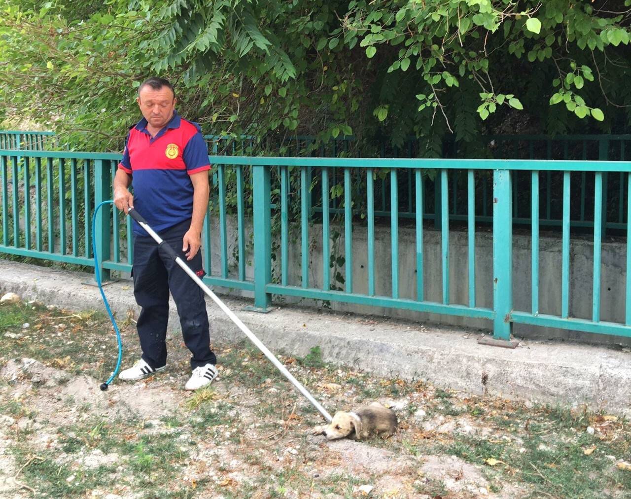 Su kanalına düşen yavru köpeği itfaiye kurtardı