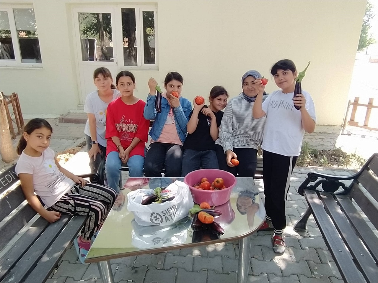 Karapınar'da öğrenciler sebze hasadı yaptı