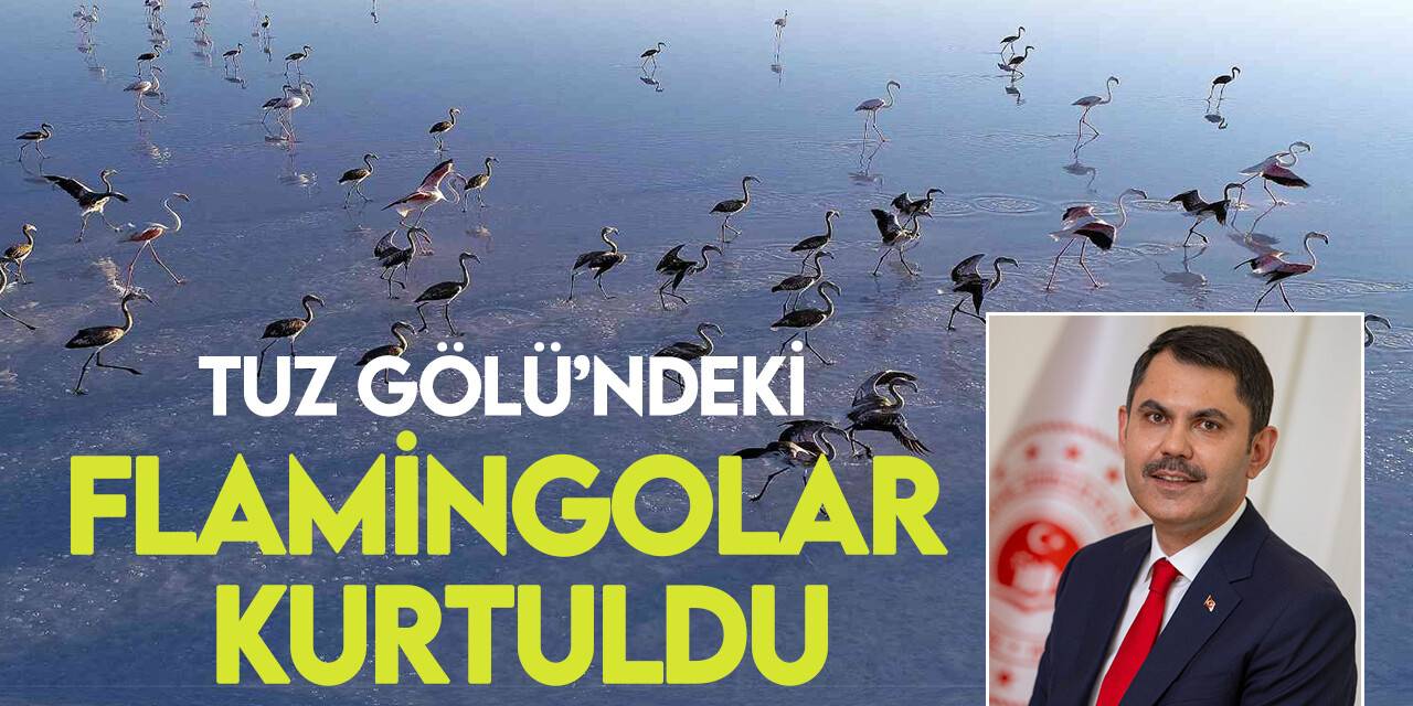 Bakan Kurum: “Tuz Gölü’ne su taşıdık, flamingolara can suyu verdik”