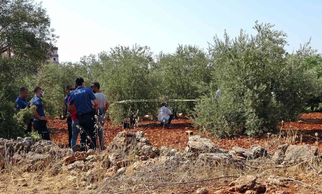 Erzincanlı gencin cansız bedeni zeytinlik alanda bulundu