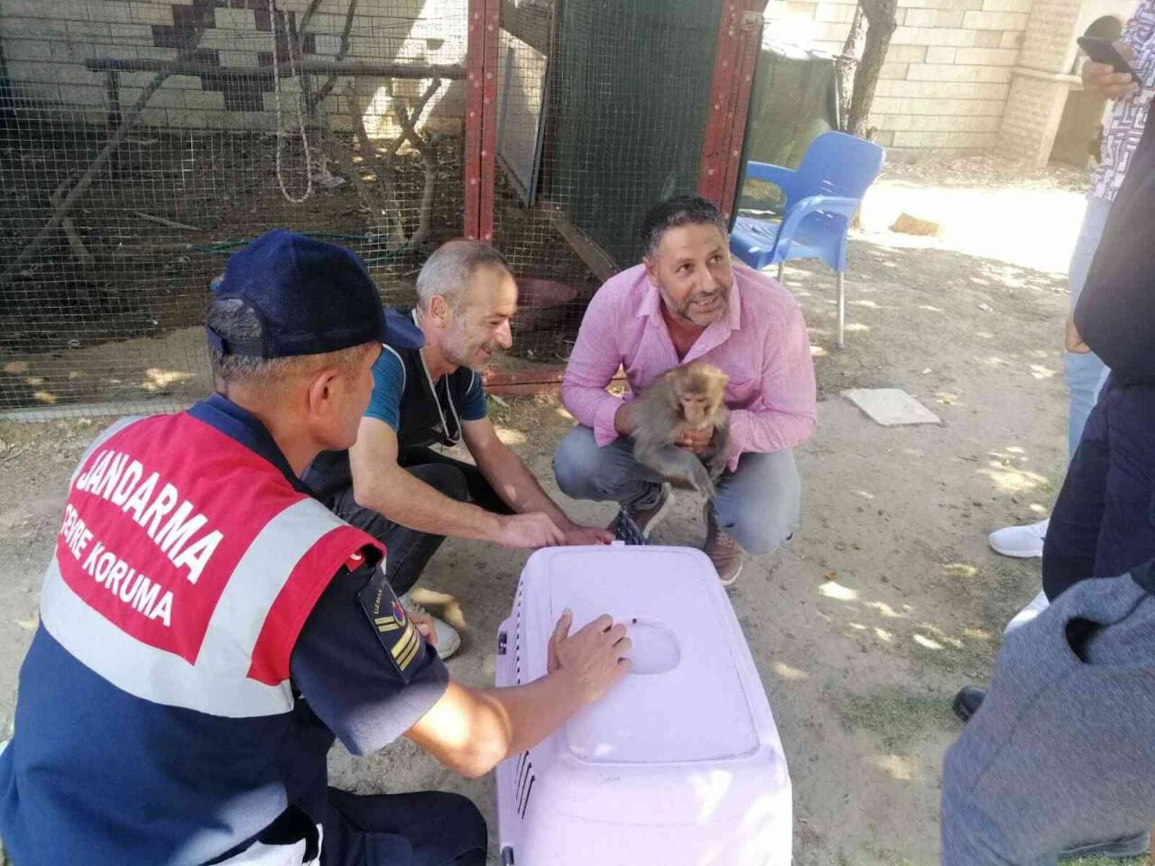 2 yaşındaki çocuğun elini maymun ısırdı