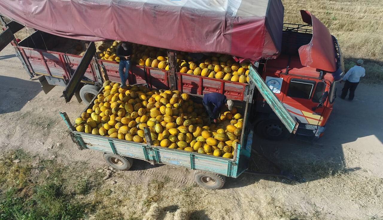Çumra'da "Tarım Bayramı" etkinliği düzenlenecek