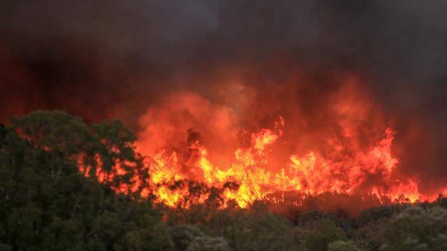 Azerbaycanlı Bakan: "Bu, son zamanların en büyük yangını"