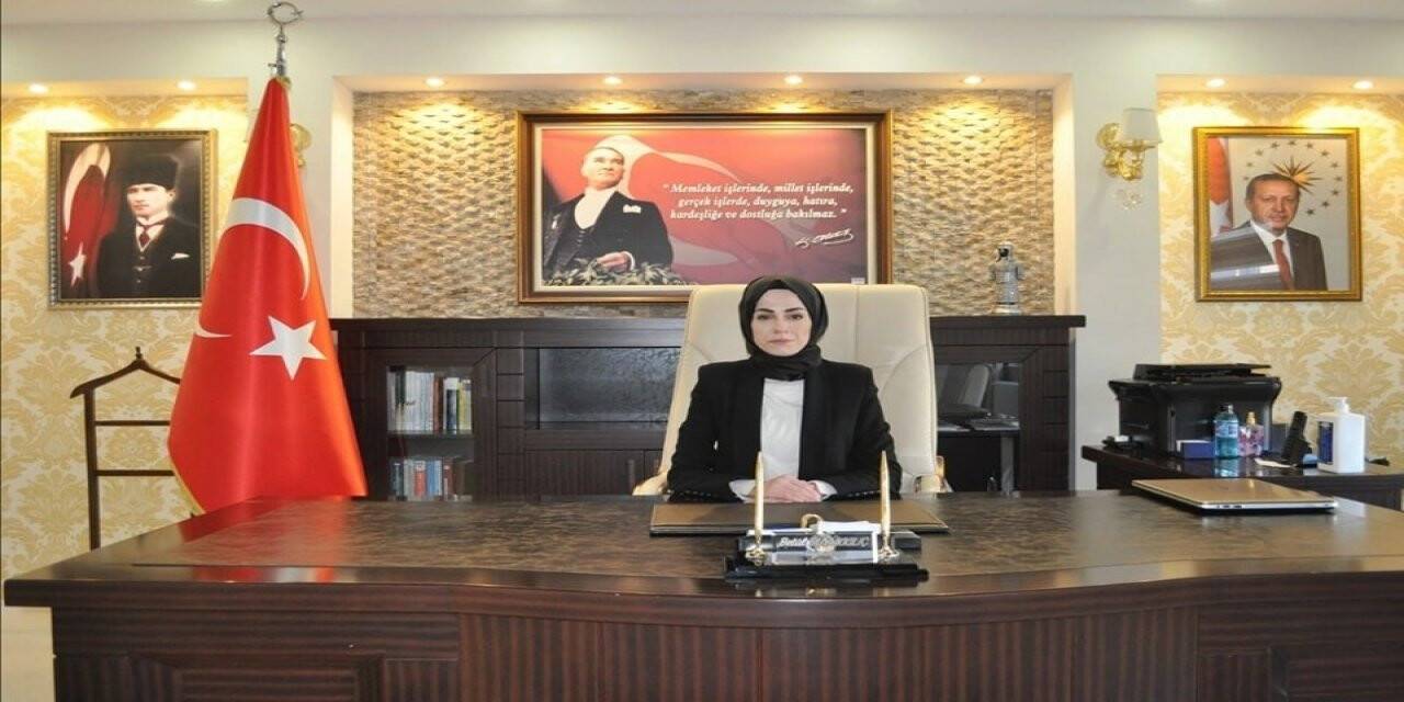 Kaymakam Büyükkılıç, Demirözü’ne veda etti