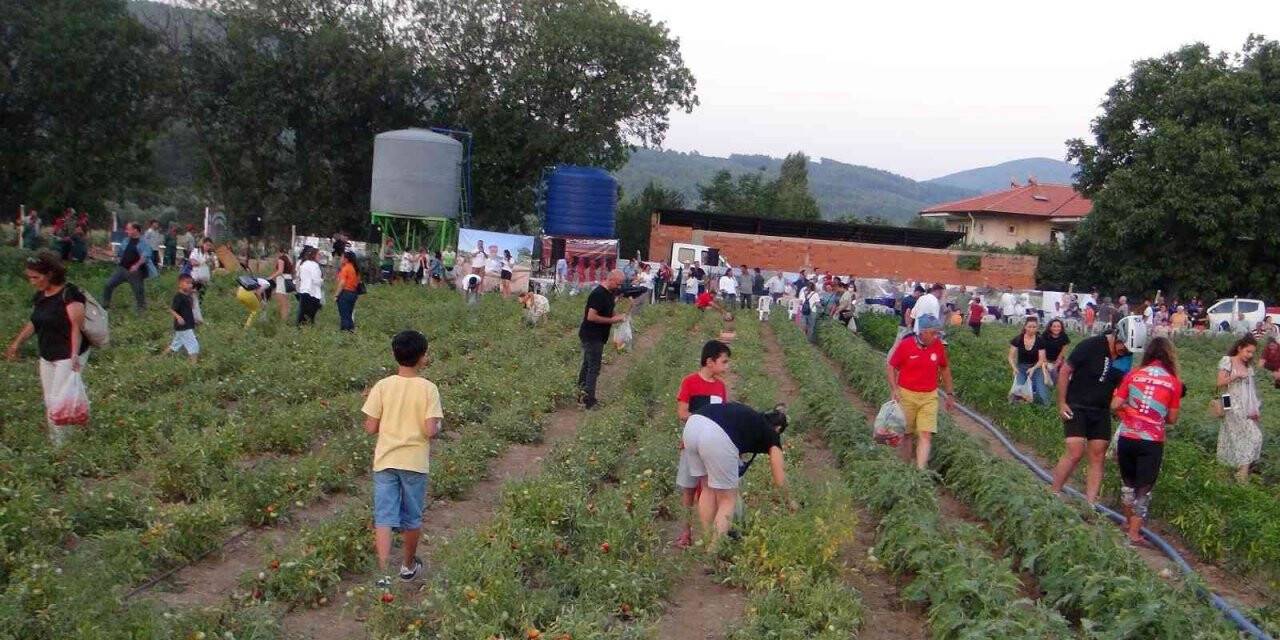 Ata tohumu ürünlerin hasat şenliği yapıldı