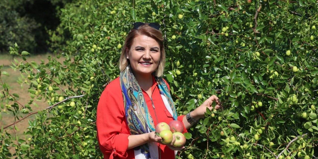 Başkan Hürriyet: "Fazla üretiyoruz, ürettiğimizi paylaşıyoruz"