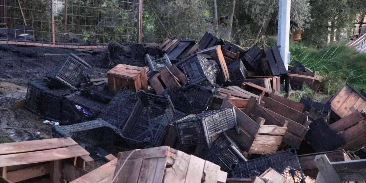 Halde yangın: Ahşap kasalar küle döndü