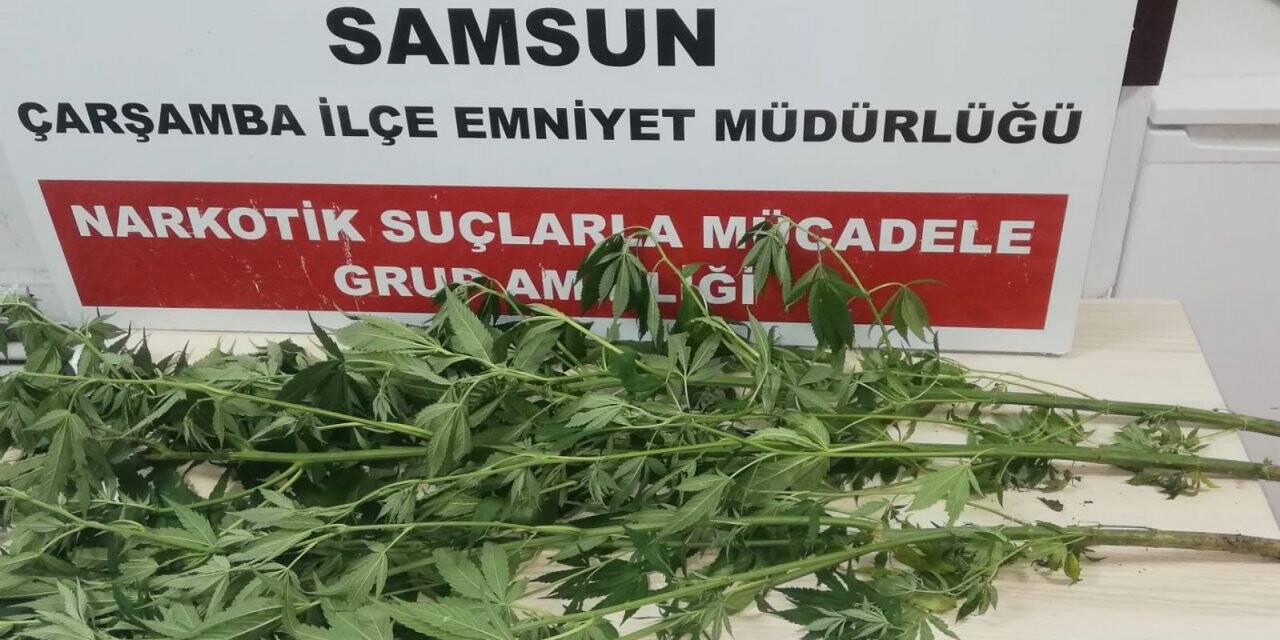 Uyuşturucu operasyonunda 1 kişiye gözaltı