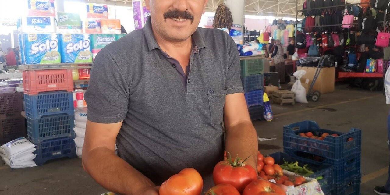 Organik domateslerin büyüklüğünü gören bir daha bakıyor