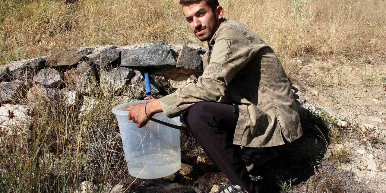 Şifalı denen su akla Rize’yi getirdi