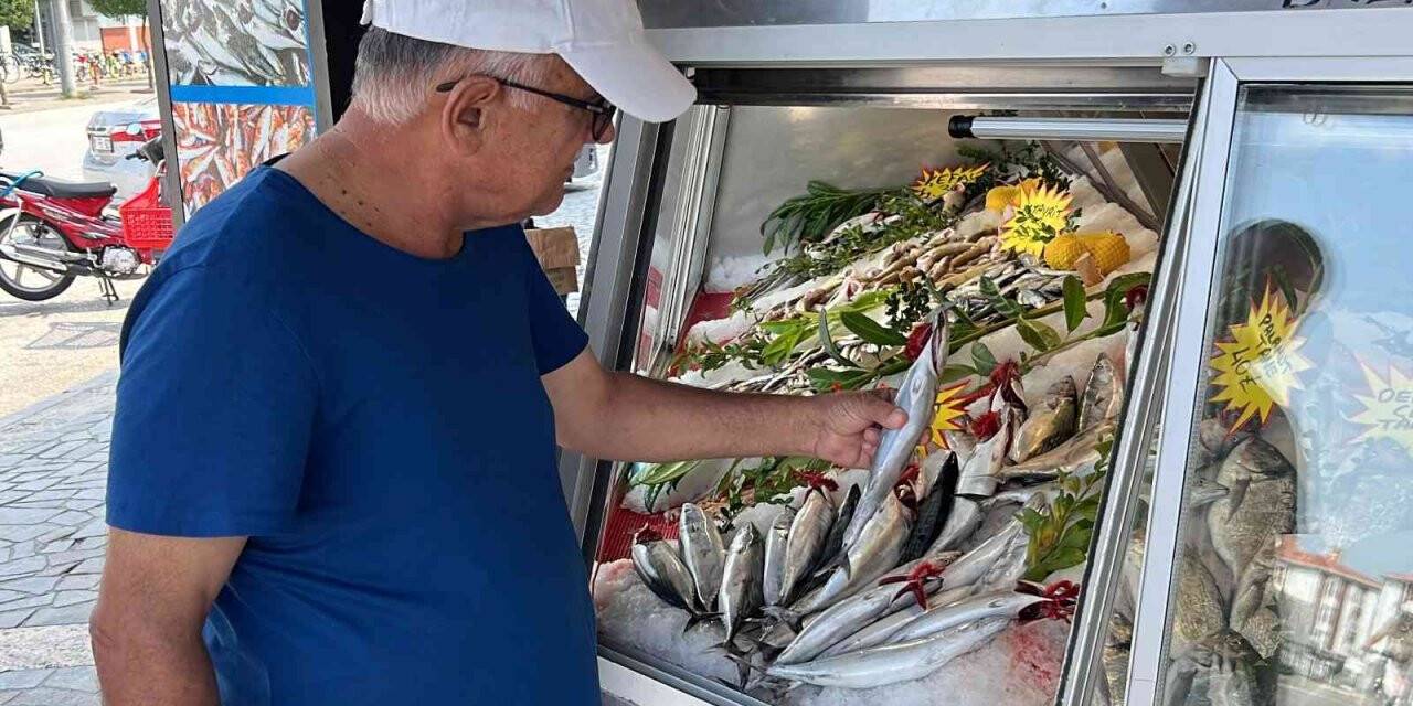 Balıkseverler bu sezon hamsi ve palamuda doyacak