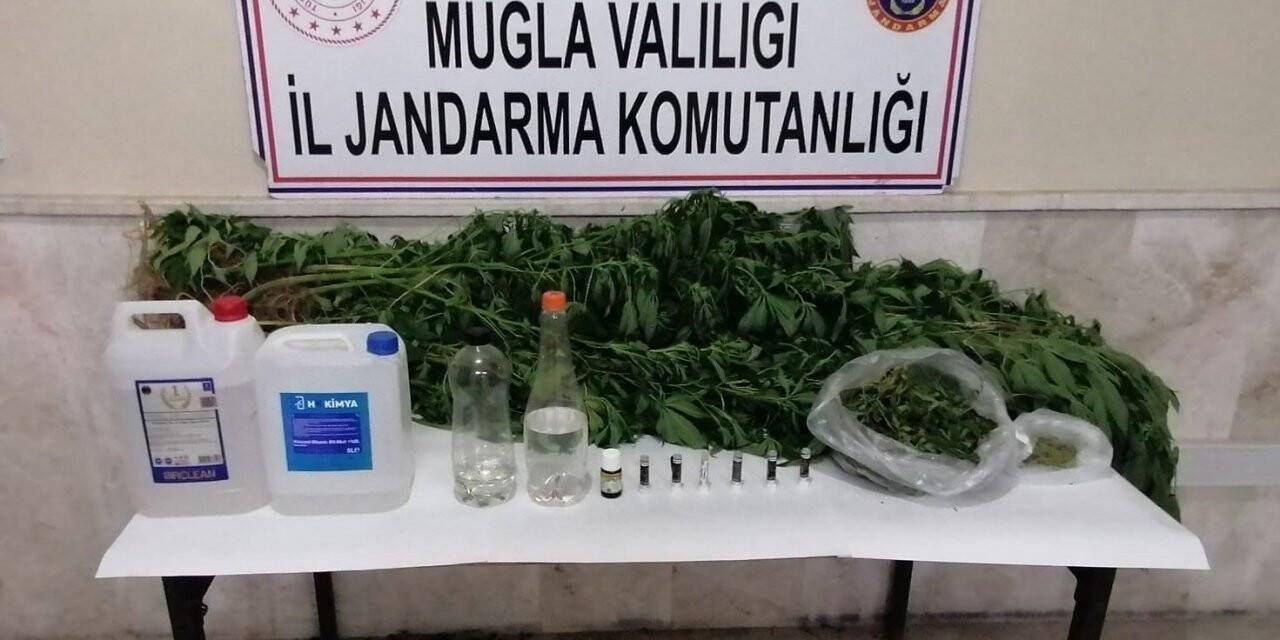 Milas’ta kaçak içki, kenevir ve uyuşturucu madde ele geçirildi