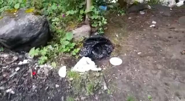 Doğaya bırakılan çöpler bir ineğin ölümüne neden oldu