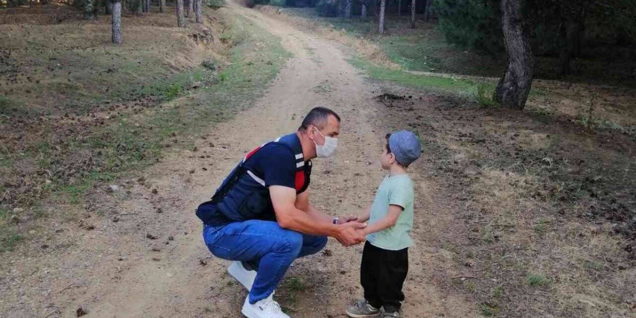Piknikte kaybolan 3 yaşındaki çocuğu jandarma 2 saatlik arama sonrası buldu