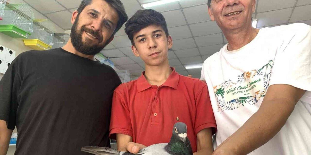 8 posta güvercininden 7’si Eskişehir’e dönmeyi başardı