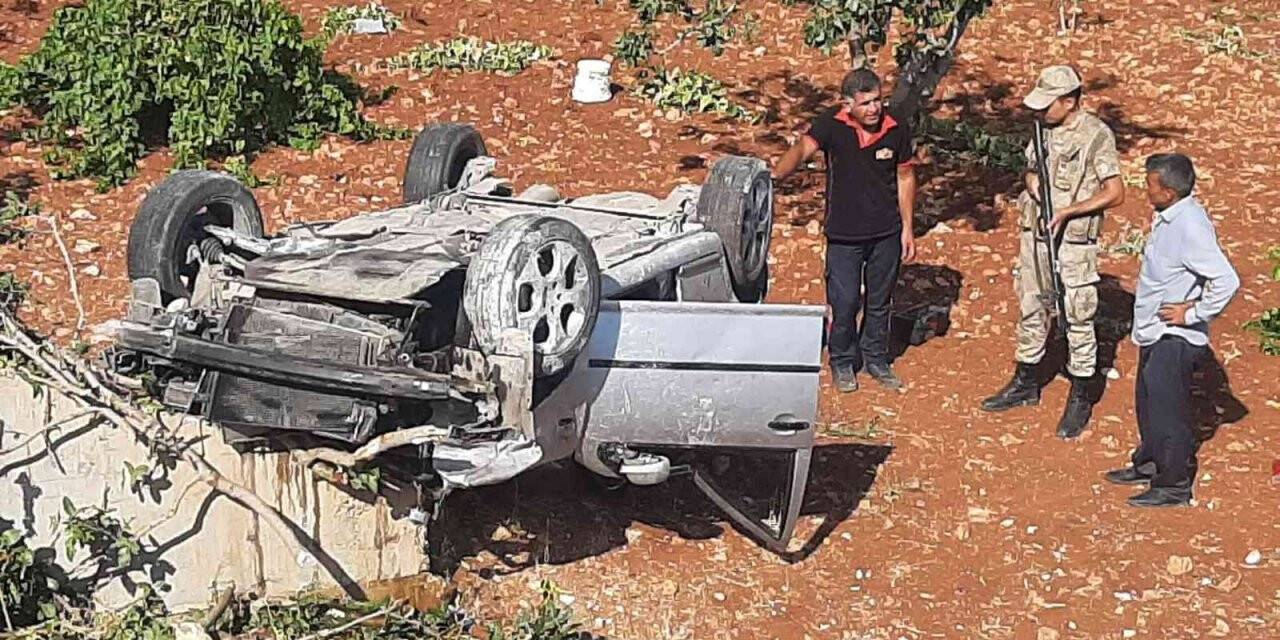 Otomobil fıstık bahçesine yuvarlandı