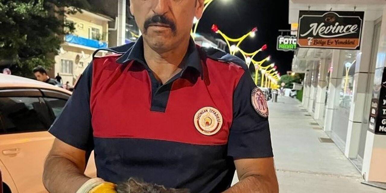 Araçta sıkışan yavru kedi itfaiye ekiplerince kurtardı