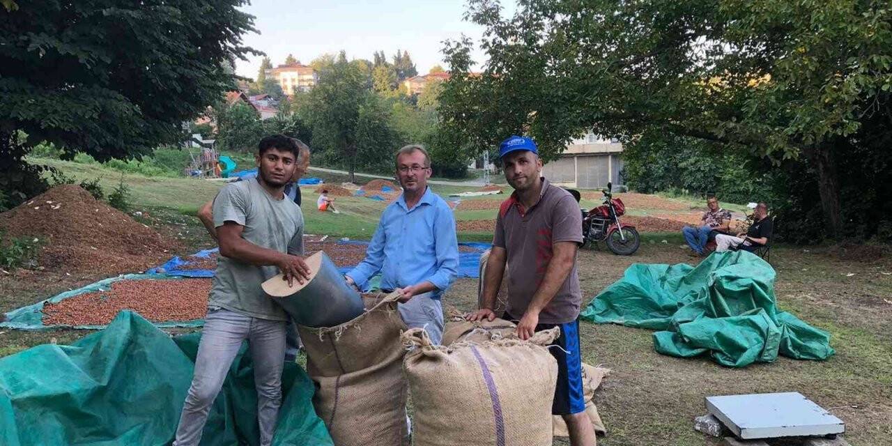 Serbest piyasada fındık 45 lira