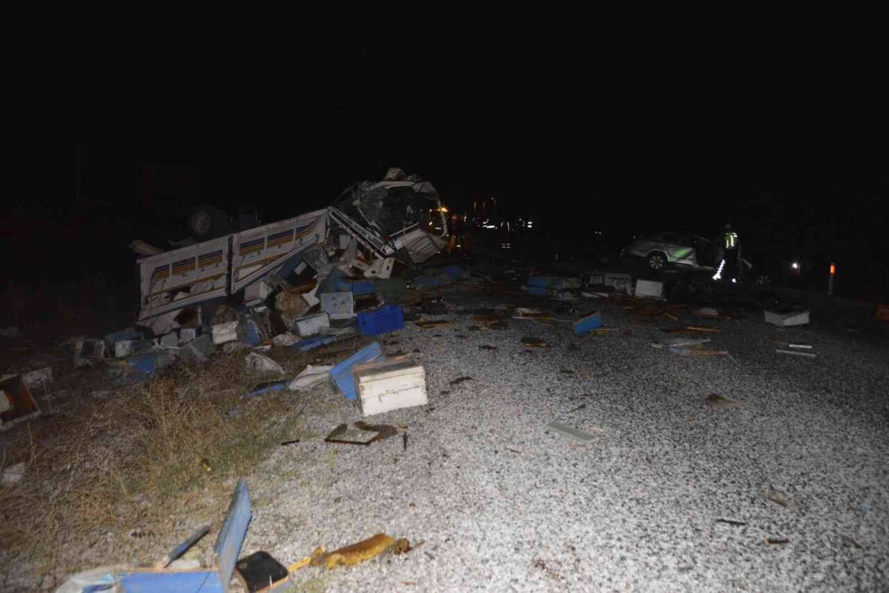 Arı yüklü kamyonla otomobil çarpıştı: 4 ölü, 3 yaralı