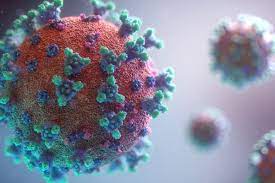 Sinsi virüs HPV yıllar içinde kansere yol açıyor