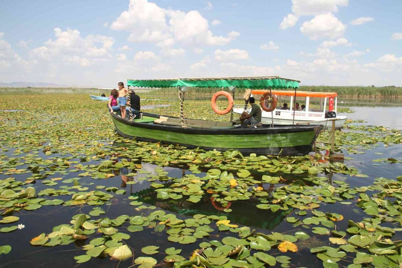 Beyşehir Gölü'ndeki nilüfer bahçesi hayran bırakıyor