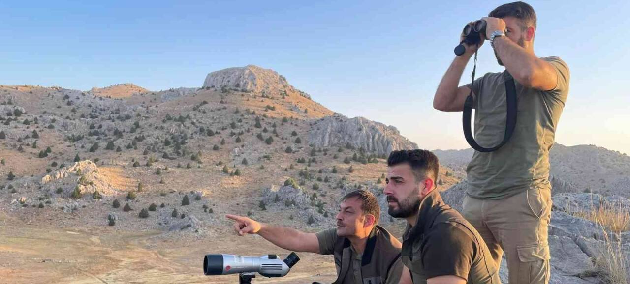 Yeni yaşamlarına başlayan ‘cerenler’ adım adım izleniyor