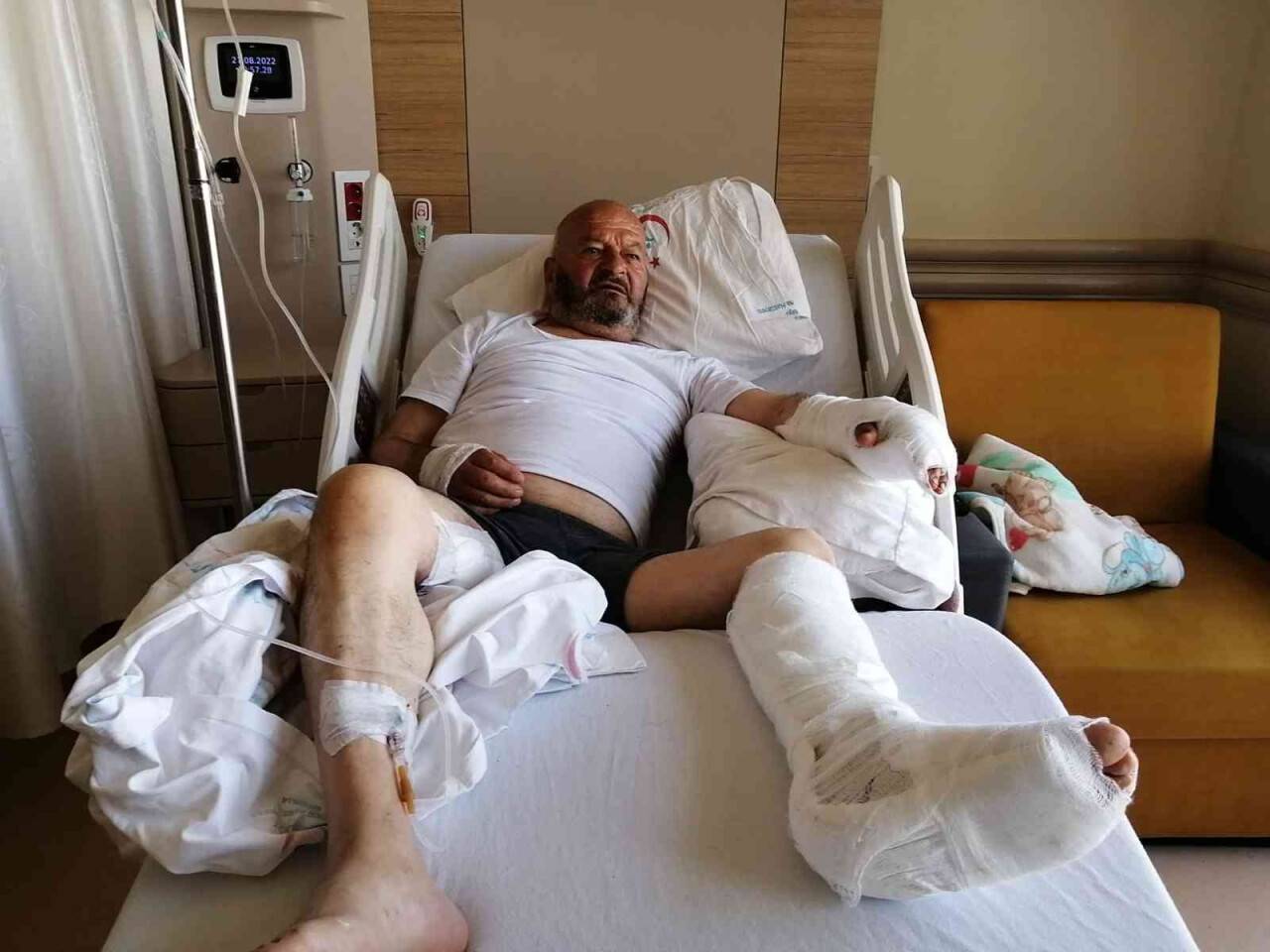 Ayının saldırısına uğrayan yaşlı adam tedavi altına alındı