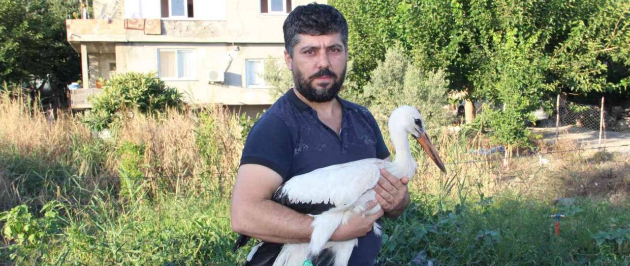 Adını "Leylektar" koydu, yorgun düşen leyleği iki gün misafir etti