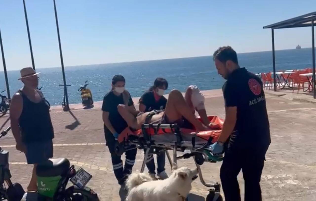 Kendisi için bıçaklanan sahibine köpekten duygulandıran vefa