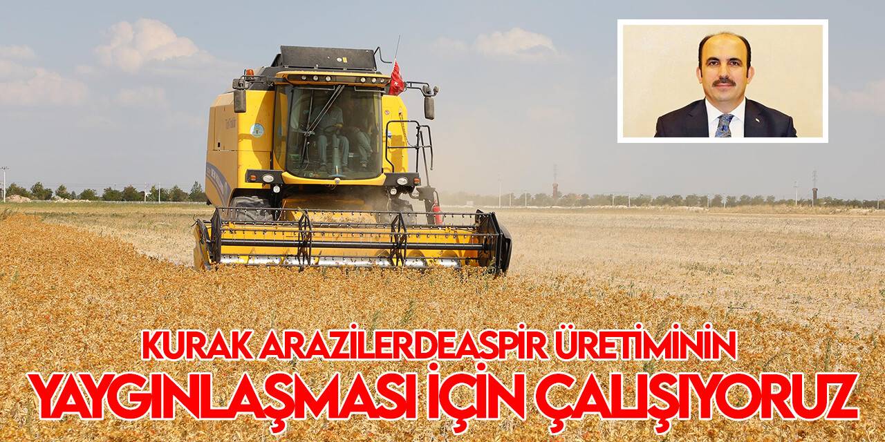 Büyükşehir Belediyesi 700 dekarlık atıl araziye ektiği kuraklığa dayanıklı yağlık aspir bitkisinin hasadını yaptı