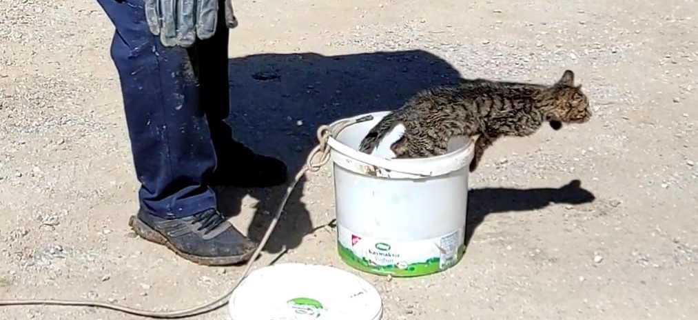 Konya'da kuyuya düşen kedi boya kutusu yardımıyla kurtarıldı