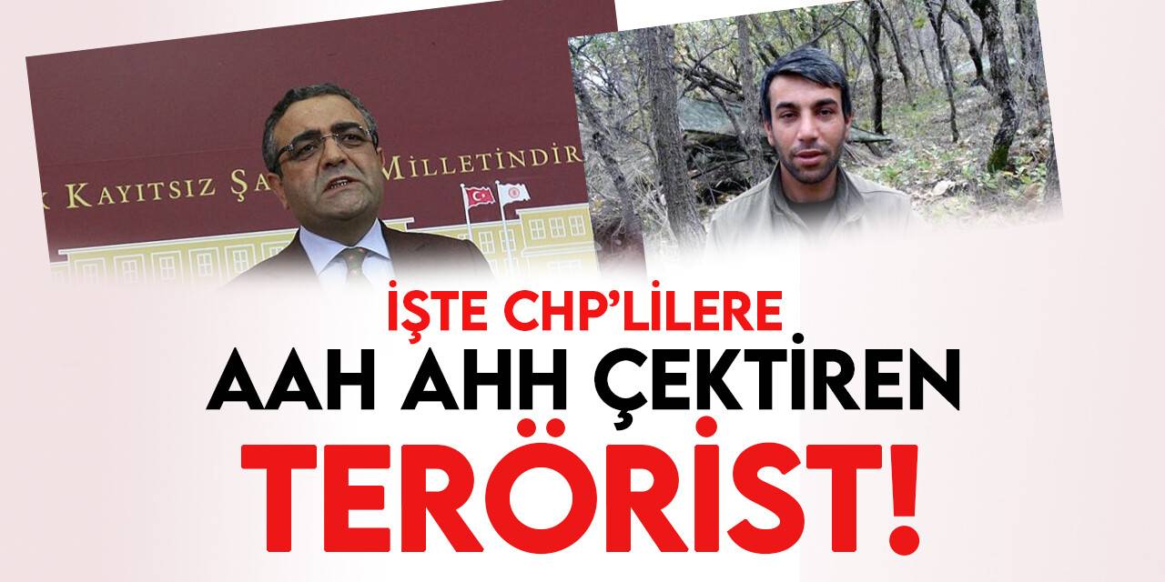 PKK'lı teröristin kemikleri, CHP'li vekillerin kemiklerini sızlattı!