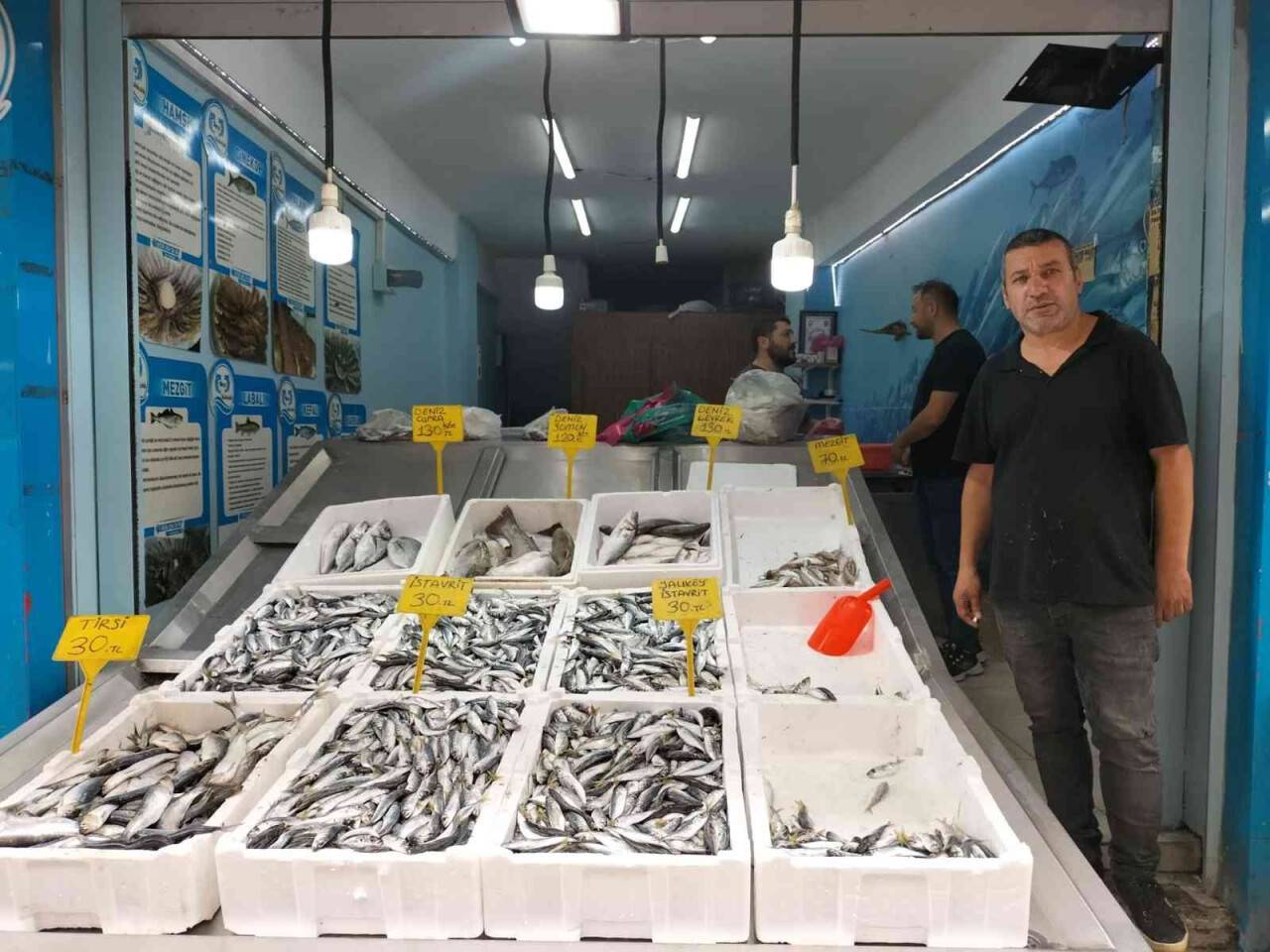 Balıkçı tezgahları şenlendi