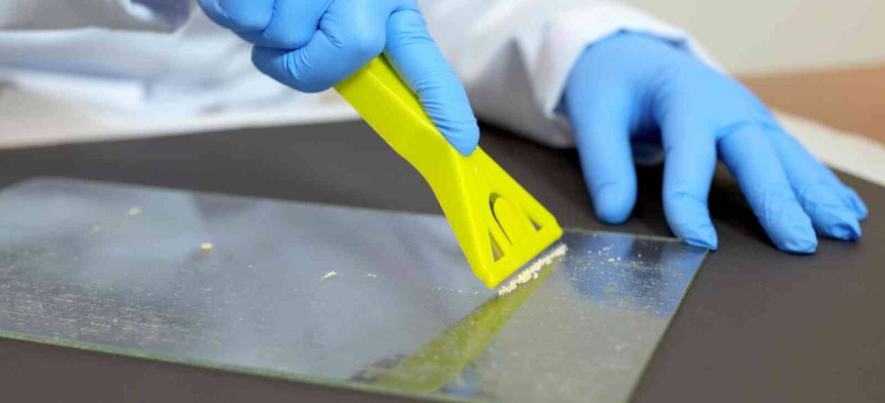 Arı zehrinin kalite standartları çıkarılacak