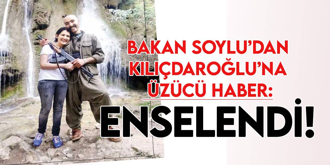 HDP'li Semra Güzel sahte pasaportla kaçmaya giderken yakalandı