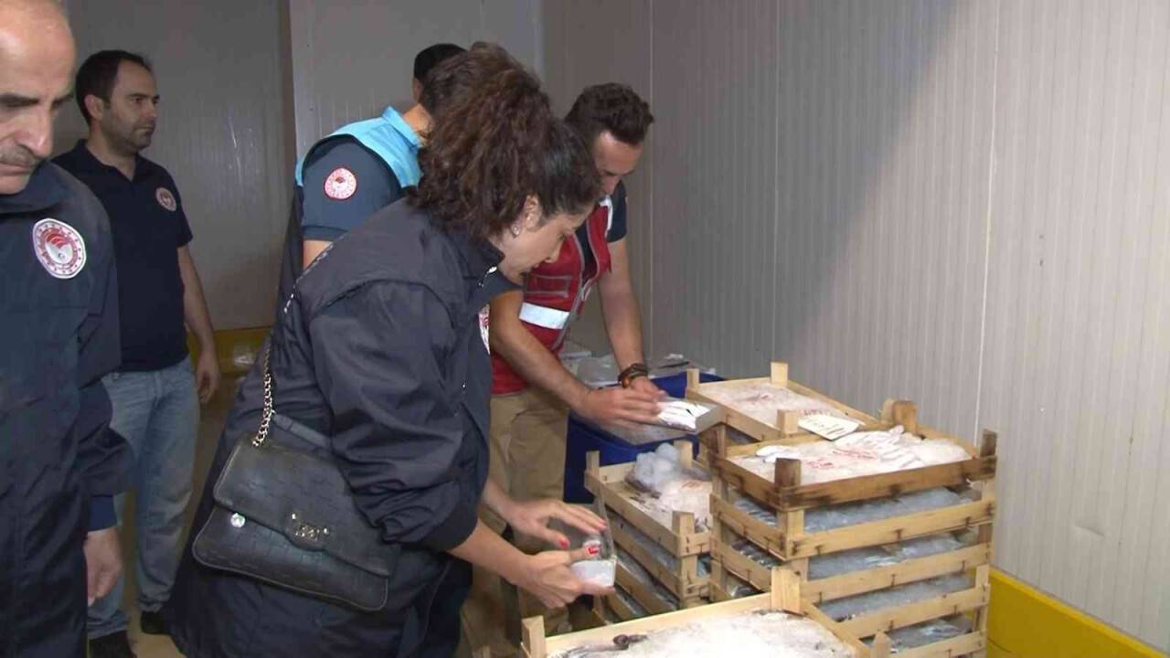 Marmara Denizi ve Büyükçekmece’deki balık halinde denetim