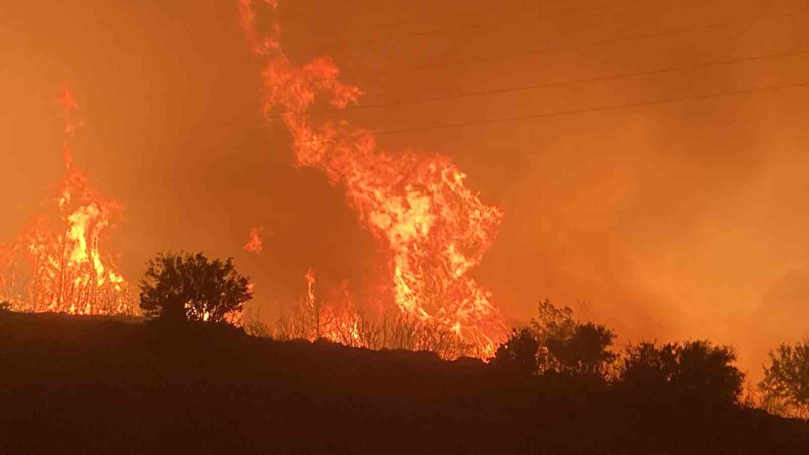 AFAD'dan Mersin'deki orman yangınına ilişkin açıklama: