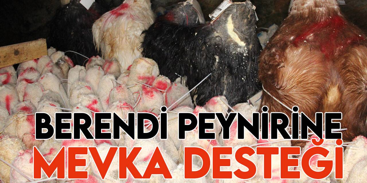 Berendi peynirine MEVKA desteği
