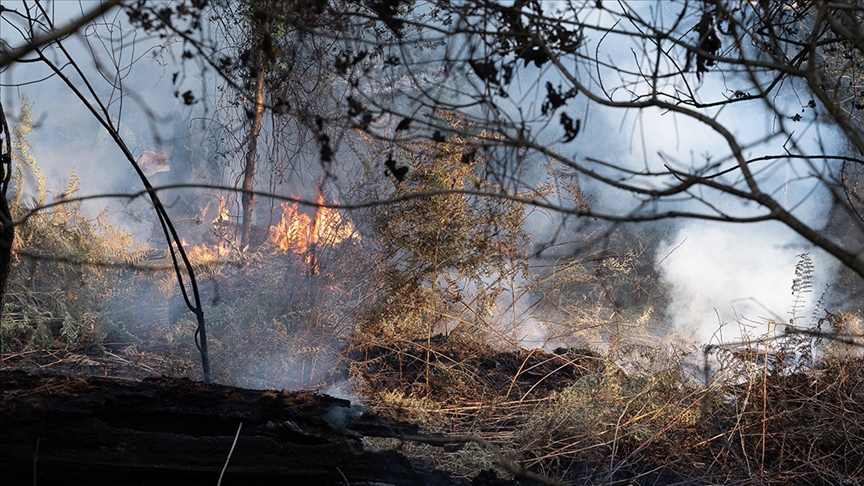 Fransa'da Gironde vilayetinde çıkan yangında 1300 hektar yeşil alan zarar gördü