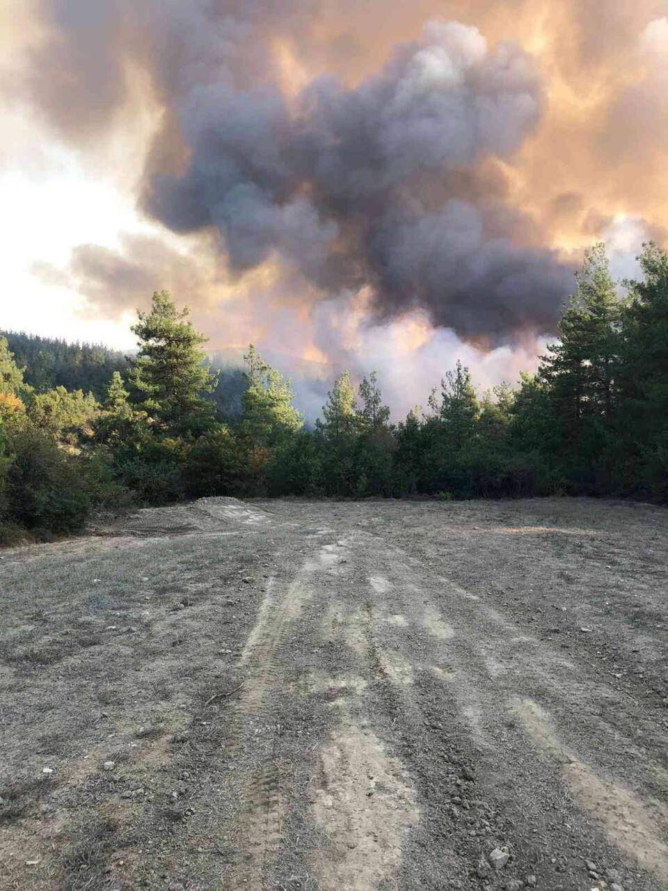 Bursa’nın Orhaneli ilçesinde orman yangını