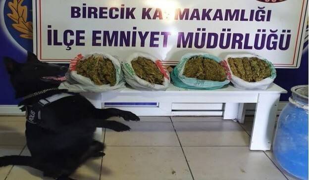 Şanlıurfa’da narkotik köpeği ’Kyra’ uyuşturucuya geçit vermedi