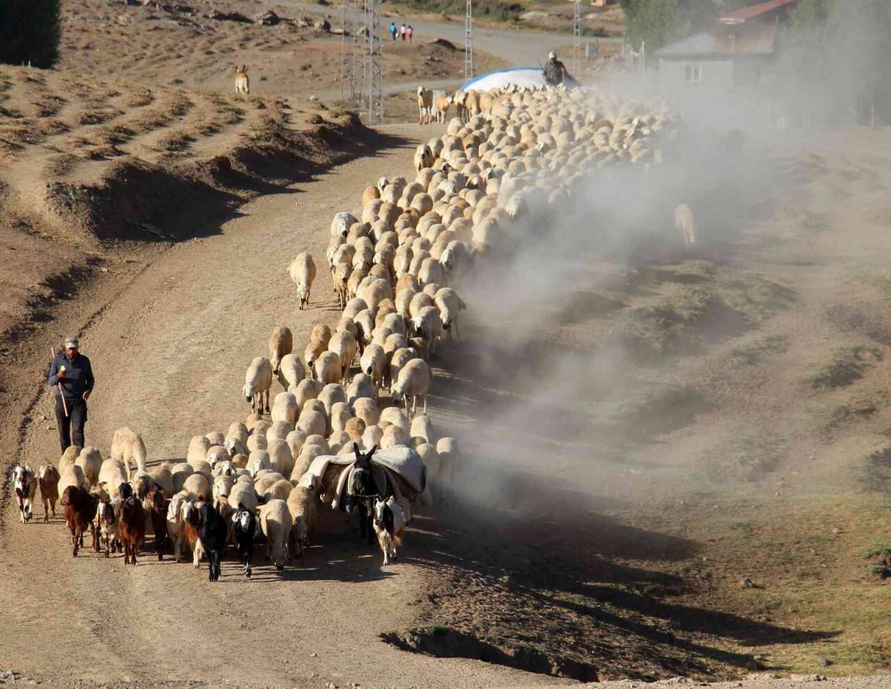 Suya ulaşmak için 15 kilometrelik tozlu yolculuk