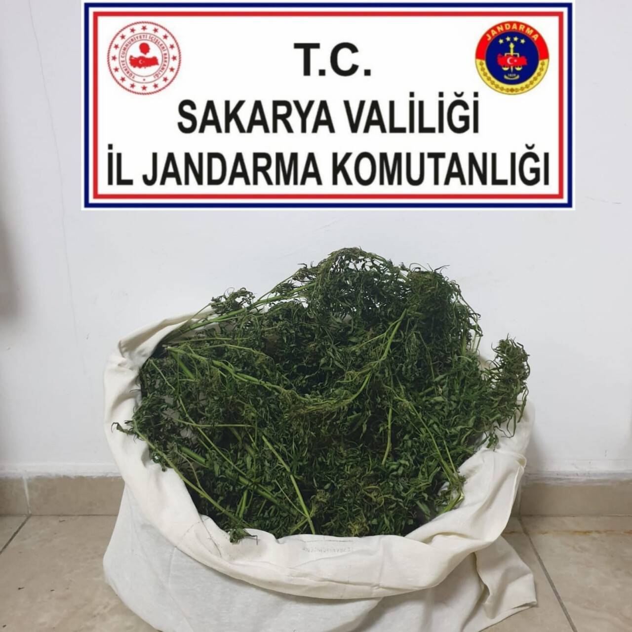 Sakarya’da uyuşturucu operasyonu: 1 gözaltı