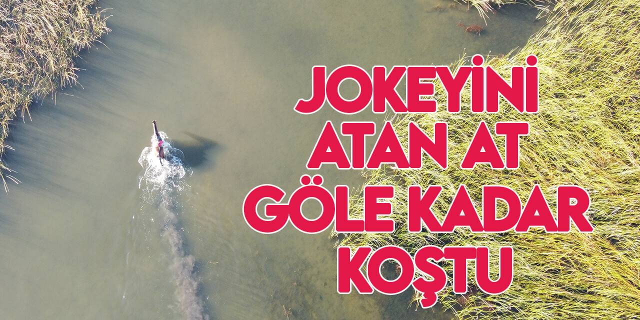 Konya'da at yarışında jokeyini sırtından atan at saatler sonra bulundu