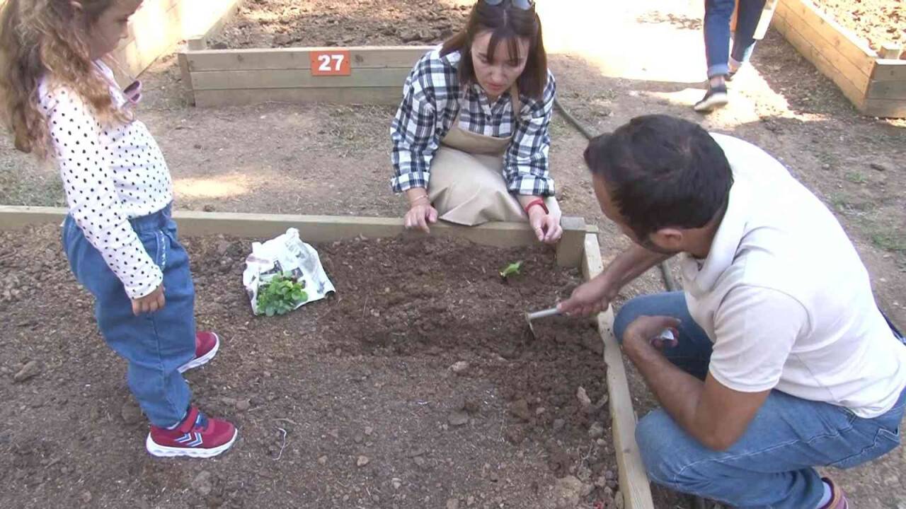 Kadıköy’de bostan ekimi yeni sezonda başladı